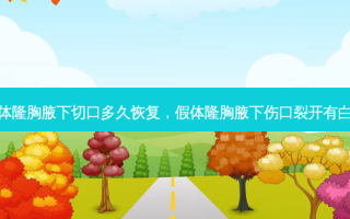 假体隆胸腋下切口多久恢复，假体隆胸腋下伤口裂开有白色