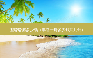 整嘟嘟唇多少钱（丰唇一针多少钱共几针）