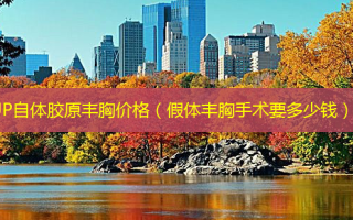UP自体胶原丰胸价格（假体丰胸手术要多少钱）