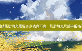 做眼睛脂肪填充需要多少钱痛不痛，脂肪填充局部麻醉痛不痛