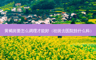黄褐斑要怎么调理才能好（祛斑去医院挂什么科）