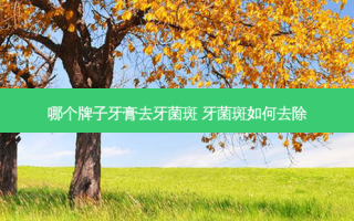 哪个牌子牙膏去牙菌斑 牙菌斑如何去除
