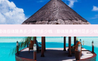 膨体假体隆鼻多少费用多少钱（膨体隆鼻费用是多少钱）