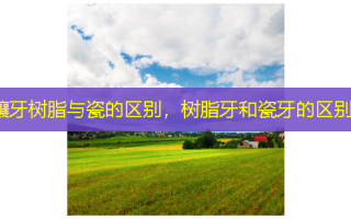 镶牙树脂与瓷的区别，树脂牙和瓷牙的区别