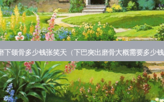 磨下颌骨多少钱张笑天（下巴突出磨骨大概需要多少钱）
