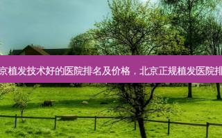 北京植发技术好的医院排名及价格，北京正规植发医院排名