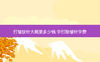 打皱纹针大概要多少钱 学打除皱针学费