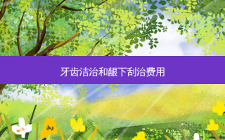 牙齿洁治和龈下刮治费用