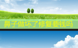 鼻子做坏了修复要钱吗