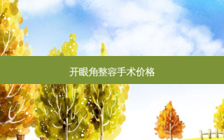 开眼角整容手术价格