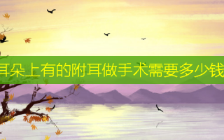 耳朵上有的附耳做手术需要多少钱