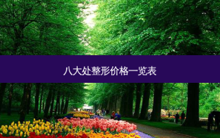 八大处整形价格一览表