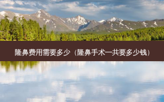 隆鼻费用需要多少（隆鼻手术一共要多少钱）