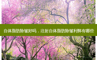 自体脂肪除皱好吗，注射自体脂肪除皱利弊有哪些