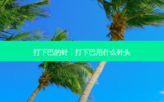 打下巴的针，打下巴用什么针头