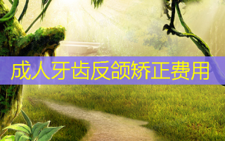 成人牙齿反颌矫正费用
