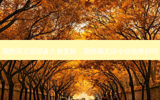 脂肪填充面部多久恢复好，脂肪填充法令纹效果好吗