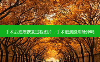 手术后疤痕恢复过程图片，手术疤痕能消除掉吗