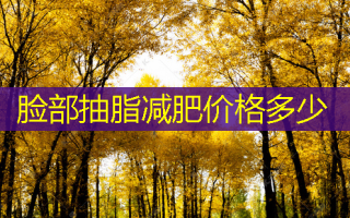 脸部抽脂减肥价格多少