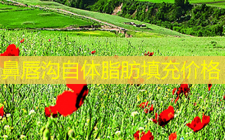 鼻唇沟自体脂肪填充价格