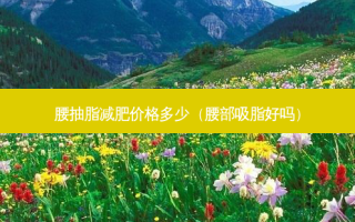 腰抽脂减肥价格多少（腰部吸脂好吗）