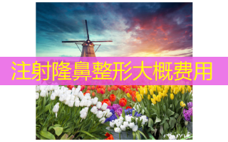 注射隆鼻整形大概费用