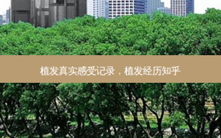 植发真实感受记录，植发经历知乎