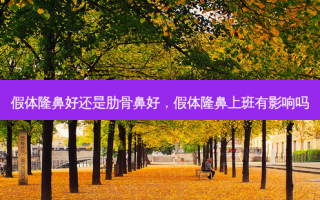 假体隆鼻好还是肋骨鼻好，假体隆鼻上班有影响吗