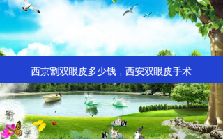 西京割双眼皮多少钱，西安双眼皮手术