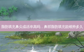 脂肪填充鼻尖成活率高吗，鼻部脂肪填充能维持多久