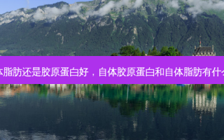 填自体脂肪还是胶原蛋白好，自体胶原蛋白和自体脂肪有什么区别