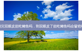 割完双眼皮能吃鲫鱼吗，割双眼皮了能吃鲫鱼吗会留疤吗