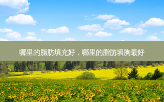 哪里的脂肪填充好，哪里的脂肪填胸好