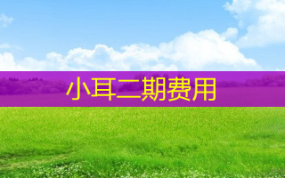 小耳二期费用