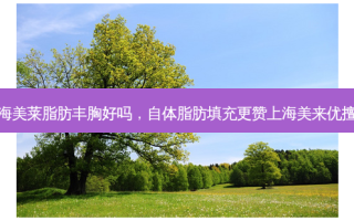 上海美莱脂肪丰胸好吗，自体脂肪填充更赞上海美来优擅长