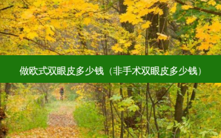 做欧式双眼皮多少钱（非手术双眼皮多少钱）