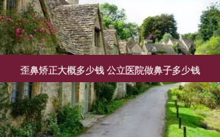 歪鼻矫正大概多少钱 公立医院做鼻子多少钱