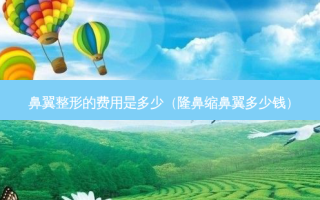 鼻翼整形的费用是多少（隆鼻缩鼻翼多少钱）