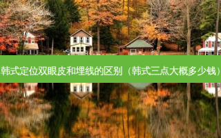 韩式定位双眼皮和埋线的区别（韩式三点大概多少钱）