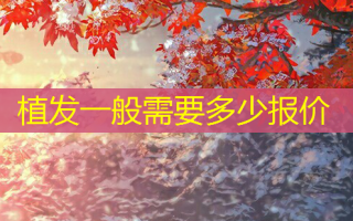 植发一般需要多少报价