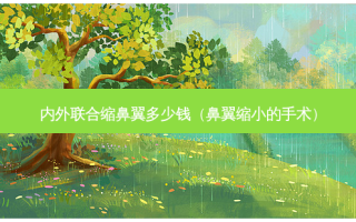 内外联合缩鼻翼多少钱（鼻翼缩小的手术）