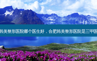 合肥韩美整形医院哪个医生好，合肥韩美整形医院是三甲医院吗