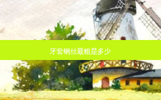 牙套钢丝粗是多少