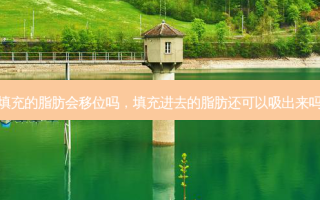 填充的脂肪会移位吗，填充进去的脂肪还可以吸出来吗
