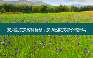 安贞医院美容科价格，安贞医院美容价格贵吗
