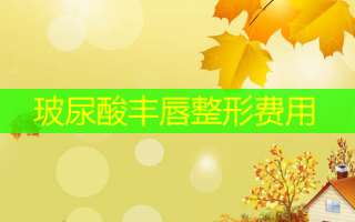 玻尿酸丰唇整形费用