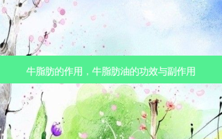 牛脂肪的作用，牛脂肪油的功效与副作用