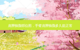 肩胛抽脂部位图，手臂肩胛抽脂多久能正常