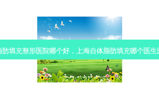 上海脂肪填充整形医院哪个好，上海自体脂肪填充哪个医生比较好
