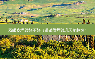 双眼皮埋线好不好（眼睛做埋线几天能恢复）